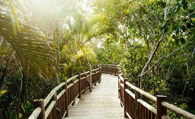 Hotel Vidanta Grand Luxxe by Jungala -  Plan Todo Incluido - Imagen 11